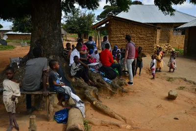 DSC_5081 (Large).JPG